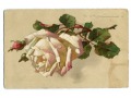 1913 Catharina C. Klein Róże kwiaty Żurawica
