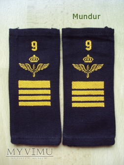Szwecja - oznaka stopnia flygvapnet: st.plutonowy