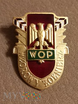 Wzorowy żołnierz WOP