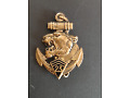 Odznaka 23 Pułku Piechoty Morskiej - Francja