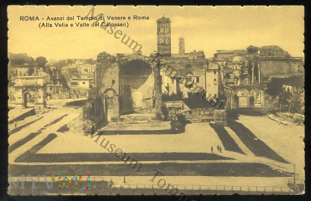 Roma - Ruiny świątyni Venery - I ćw. XX w.