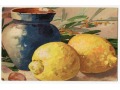 Catharina C. Klein cytryny owoce Fruit Postcard