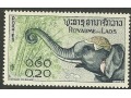 Elephas maximus