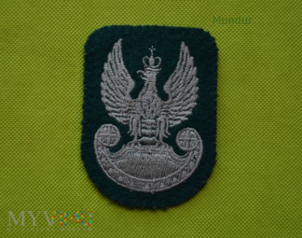 Orzełek wz.93 Wojsk Lądowych (haft maszynowy)