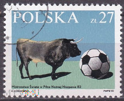 Cattle (Bos primigenius taurus), Soccer Ball