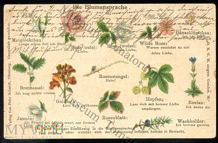 Język kwiatów - 1900