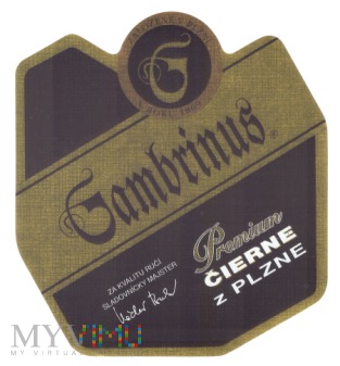 Duże zdjęcie Gambrinus Premium