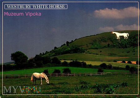 Biały Koń z Westbury