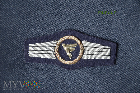Oznaka haftowana Luftwaffe -Führungsdienstpersonal