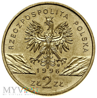 2 1996 złote Jeż NGC MS67