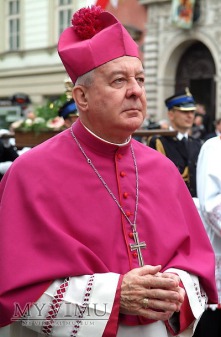 Piuska Arcybiskupa Juliusza Paetza