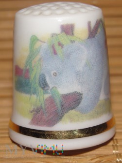 (1)WESTMINSTER-koala