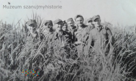 polscy jeńcy Stalag VII A