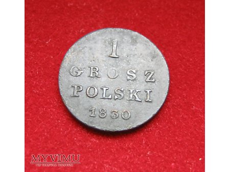 1 grosz Polski 1830 Królestwo Polskie (Kongresowe)