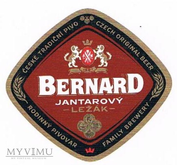 bernard jantarový ležák