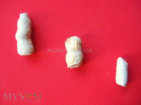 Miniaturowe skamieniałości