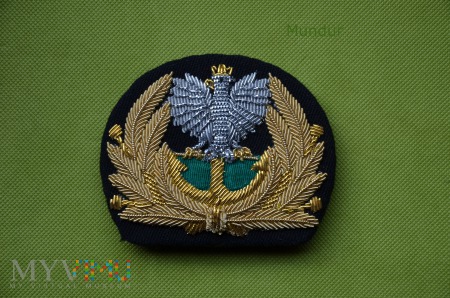 Wizerunek orła do czapek admirałów SG wz.2013