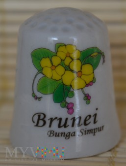 Duże zdjęcie Brunei