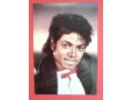 Michael Jackson Król Pop-u i muszka Pocztówka