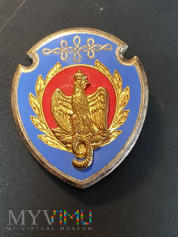 Pamiątkowa odznaka 9 Pułku Huzarów - Francja