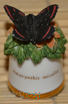 Naparstek z motylem/amarynthis micalia