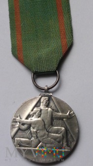 Odznaczenie - Medal za Ofiarność i Odwagę