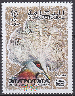 Western Crowned-pigeon (Goura cristata)