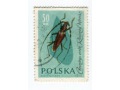 1961 chrząszcz kozioróg dębosz znaczek Polska