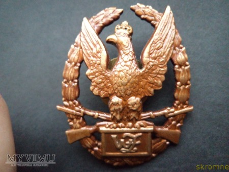 Odznaka Żołnierz Wzorowy
