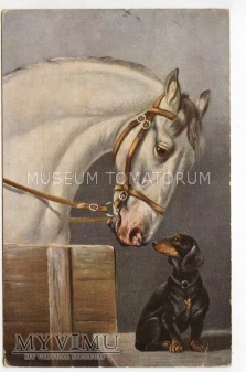 Duże zdjęcie Dachshund - Jamnik - przyjaciele - 1907