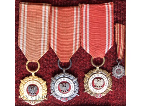 Medal "Siły Zbrojne w Służbie Ojczyzny"