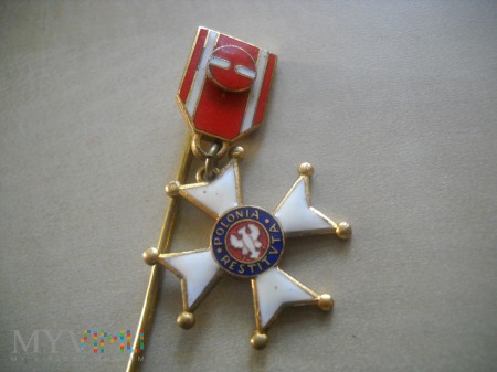Duże zdjęcie Krzyż Oficerski OOP - miniaturka