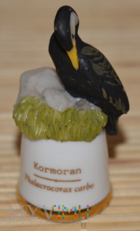 Seria -ptaki/kormoran