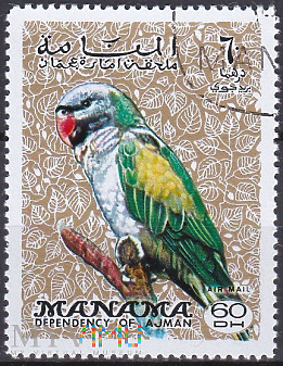 Parrot