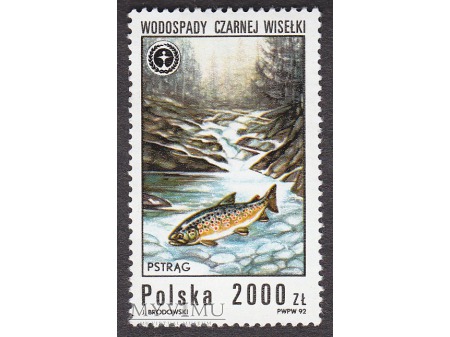 Duże zdjęcie Wodospady polskie - 1992