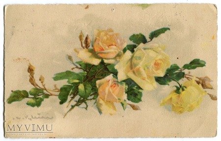 Catharina C. Klein żółte róże roses