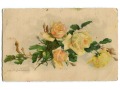 Catharina C. Klein żółte róże roses