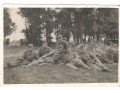 Grupa żołnierzy w parku.
