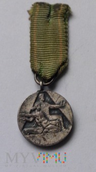 Medal - Za Ofiarność i Odwagę - miniaturka