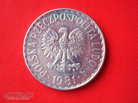 1 złoty 1981 rok