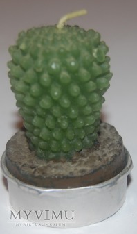 Świeczka kaktus 2