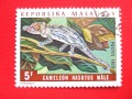 Kameleon (2)