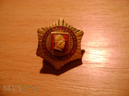 Złota Odznaka Racjonalizatorom Produkcji Miniaturk