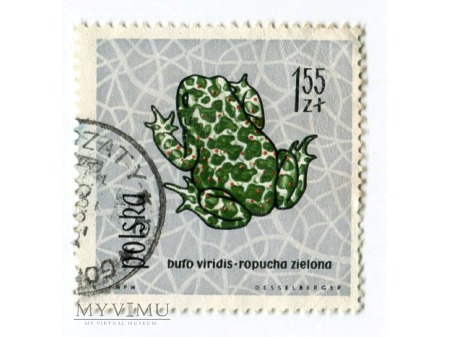 1963 Ropucha zielona Bufo viridis znaczek Polska