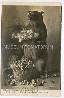 Coignet - Niedźwiedź sprzedający owoce - wyd. 1908