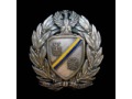Zobacz kolekcję Odznaki II RP