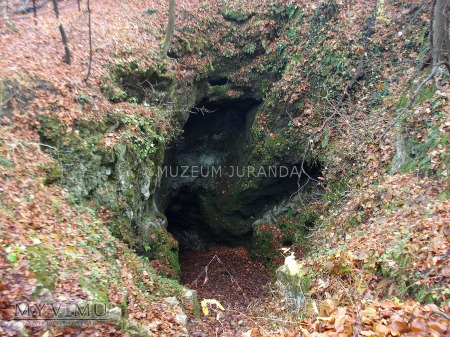 Jaskinia Pod Sokolą Górą (Pochyła)