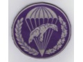 Oznaka 6 batalion łączności, 6bpd 6PDPD