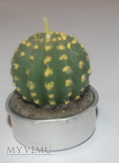 Świeczka kaktus 3