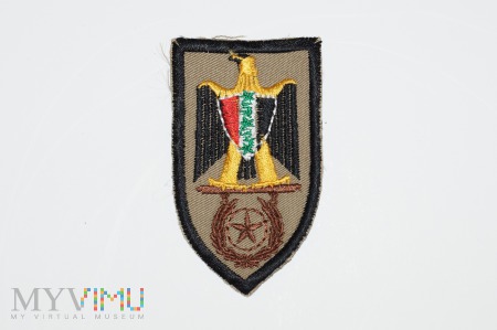 Odznaka brązowa za udział w akcjach bojowych